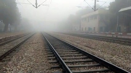 ठिठुर गया सवाईमाधोपुर, बारिश के बाद छाया घना कोहरा