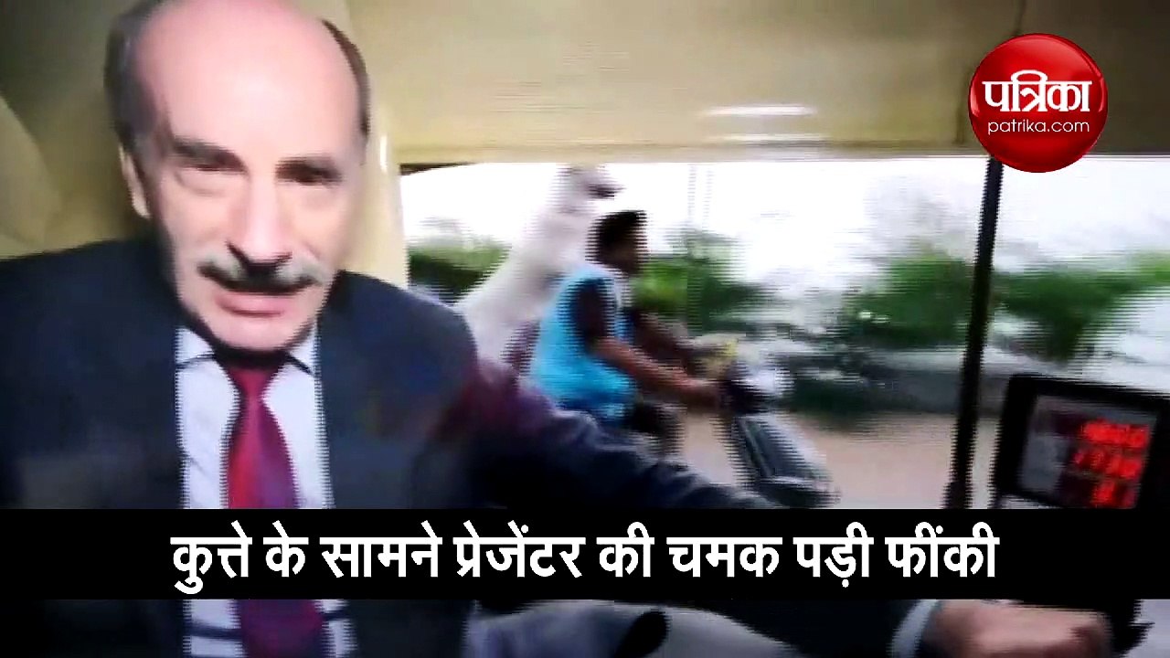 Dog Steals Limelight From BBC Presenter