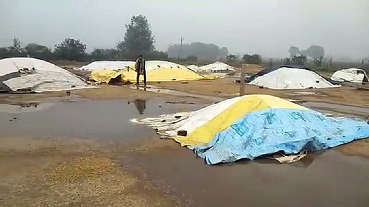 rain in sheopur