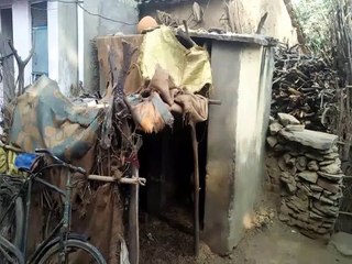 जजावर में शौचालयों का नहीं हो रहा उपयोग, बांध रहे बकरियां रख रखे है कंडे