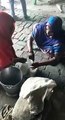 Saharanpur: 3 लीटर दूध से बनाई गई 300 बच्‍चों के लिए खीर, तीन बाल्‍टी मिलाया पानी