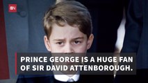 Prince George Has Favorite Shows