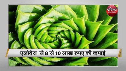 एलोवेरा की खेती कर कमाएं लाखों
