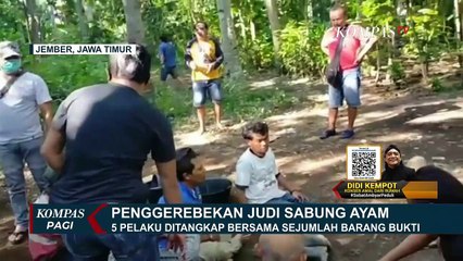 Asik Judi Sabung Ayam, Tak Berkutik Saat Digerebek Polisi