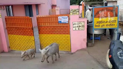 एक अधीक्षक के पास कई छात्रावासों के प्रभार, गंदगी व अव्यवस्था से छात्र-छात्राएं परेशान