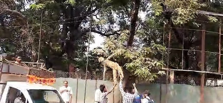 काली पट्टी लगाकर किया प्रदर्शन