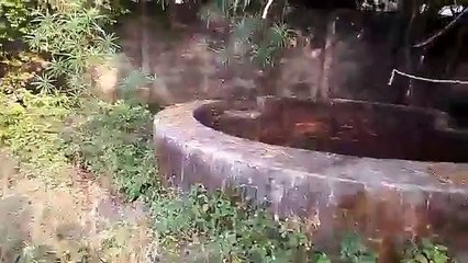 महिला और उसकी मासूम बच्ची की बेरहमी से हत्या के बाद पत्थर कुचल दिया चेहरा, फिर जला दी दोनों की ला