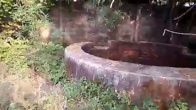 महिला और उसकी मासूम बच्ची की बेरहमी से हत्या के बाद पत्थर कुचल दिया चेहरा, फिर जला दी दोनों की ला