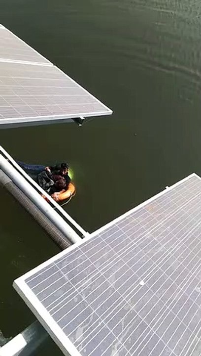 suicide
