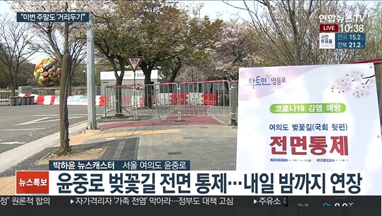 이번 주말도 벚꽃과 거리두기…여의도 전면 통제