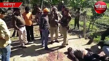 bulls deadly attack of farm house guard, spot dead