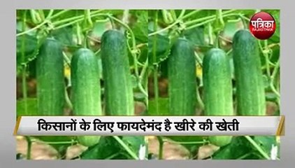 किसानों को खुशहाल बनाएगी, पोषक तत्वों से भरपूर यह खेती