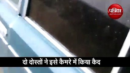 रूस के गांव में दिखा यूएफओ