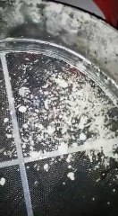 शहर में कई आटा मिलों में तैयार किया जा रहा घटिया आटा, कहीं निकल रहीं सुड़ीं तो किसी में कंकड़