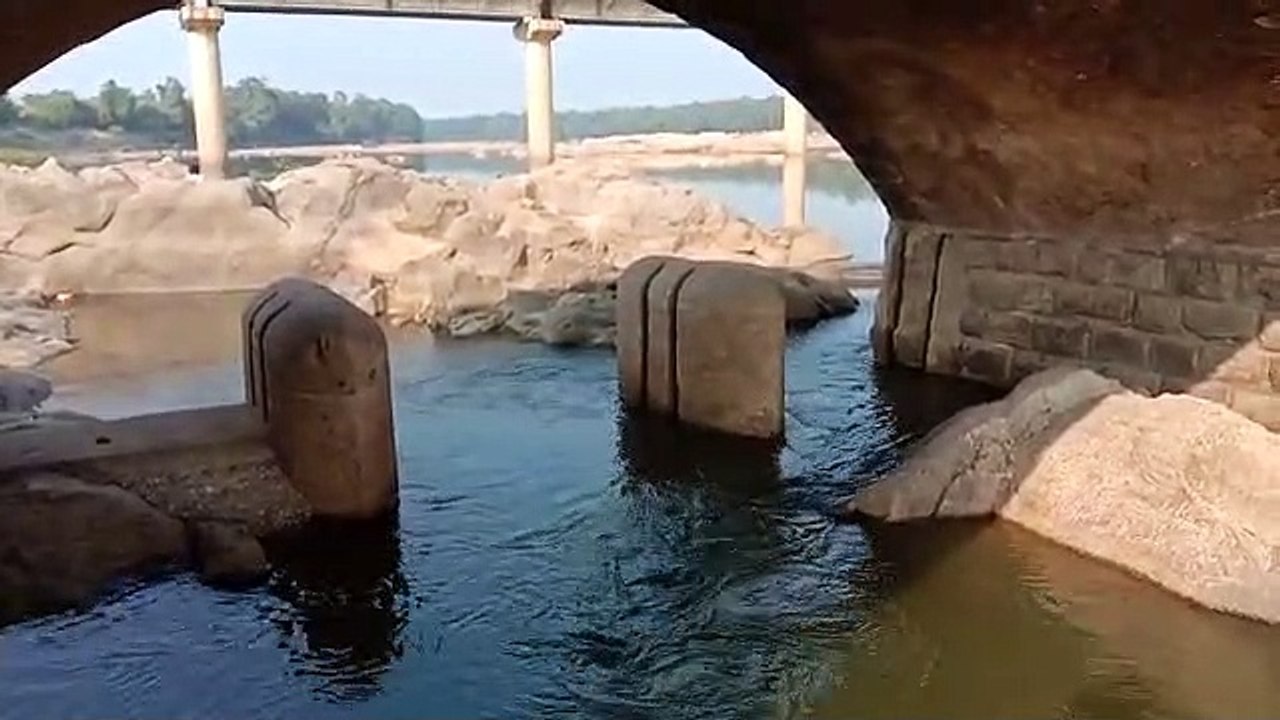 pul puliya