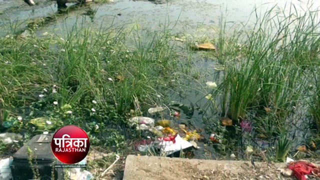 सांभर में मौतों पर चेता बांसवाड़ा प्रशासन, प्रवासी परिंदों को लेकर सतर्कता बढ़ी, ग्राम स्तर तक