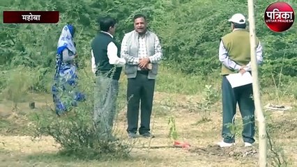 पौधरोपण में जाँच से पहले वन विभाग के अधिकारीयों ने फिर कराया पौधरोपण