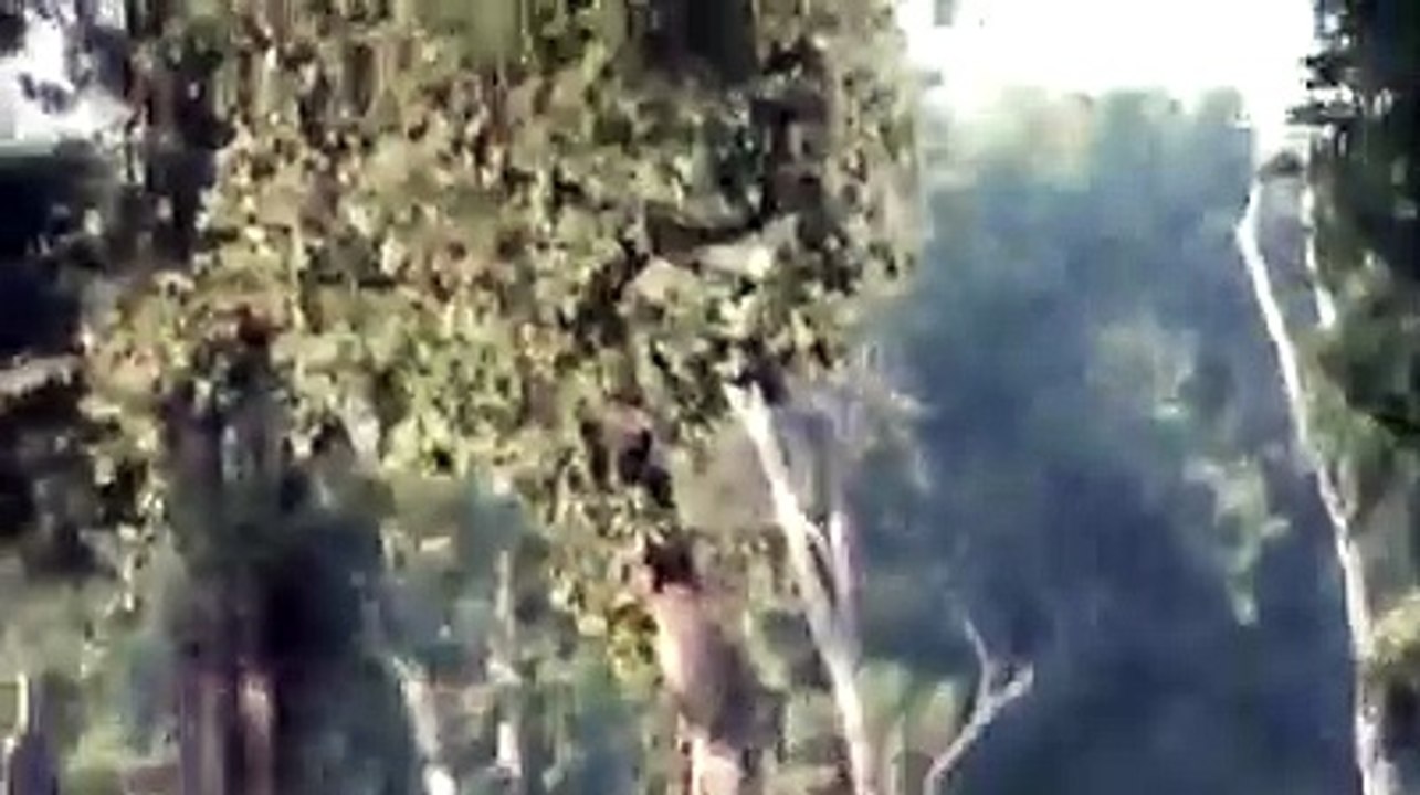 Vanraj exiting in the sunbathing sun, watch video