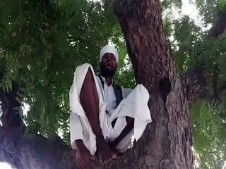 हरबोले ने नीम के पेड पर बैठ कर बोले मधुर वचन