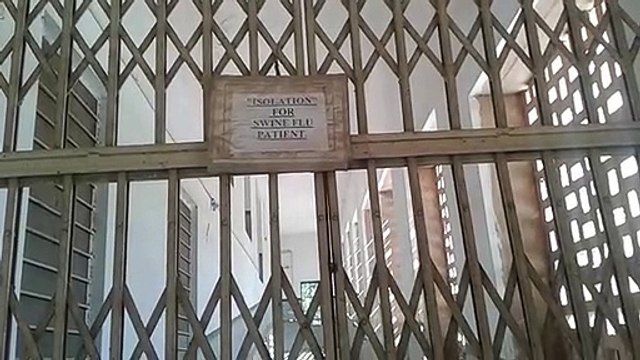 doctors in jodhpur make alert call on swine flu virus attack