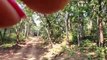 जंगल सफारी में बाघ के साथ सेल्फी- देखें लाइव वीडियो