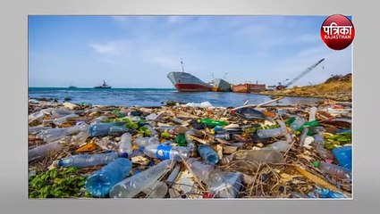 मछलियां खा रही हैं प्लास्टिक