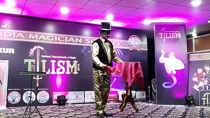 VIDEO: संगीत की धुनों के बीच स्टेज पर जब उडऩे लगी मेज तो बजने लगी तालियां