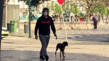 Números da Covid-19 estáveis em Portugal