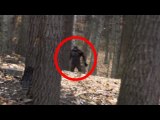 4 Scary Bigfoot Encounters Caught on Camera