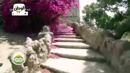 "حديقة الأسماك في منزلك".. فيلم تسجيلي ضمن مبادرة "شم النسيم في البيت"