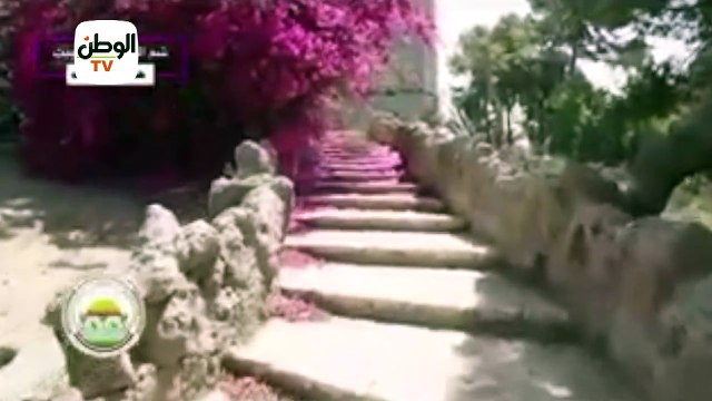 حديقة الأسماك في منزلك .. فيلم تسجيلي ضمن مبادرة شم النسيم في البيت