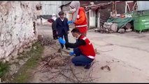 Sivas'ta yalnız yaşayan yaşlı çiftin odunlarını Vefa Sosyal Destek Grubu görevlileri kırdı