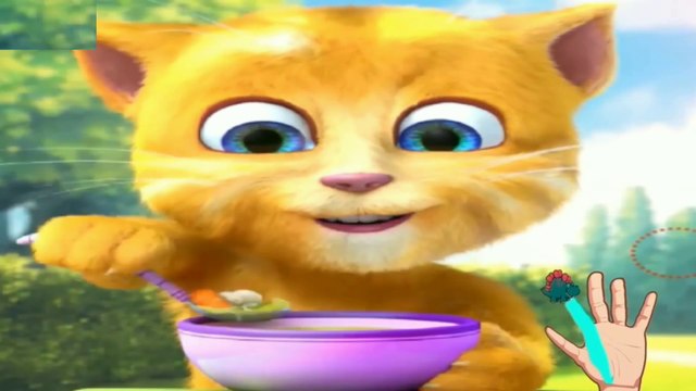 Finger family kids Song | funny cats talking | Talking Ginger baby songs