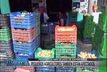 Cañete: pequeños agricultores  en crisis por pandemia de coronavirus