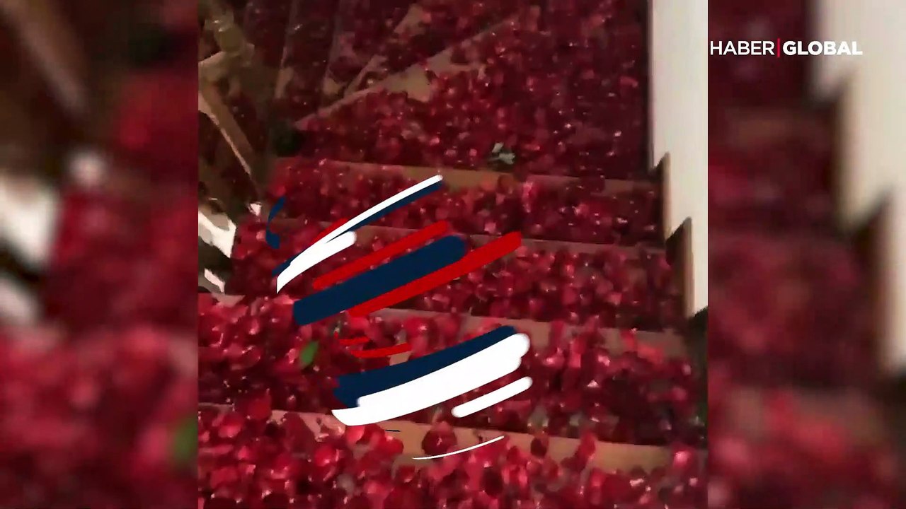 Selin Ciğerci'ye eşinden romantik doğum günü sürprizi!