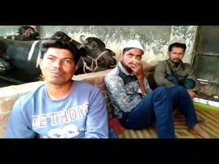 कांग्रेस नेता के सरंक्षण में चल रहा था अवैध कटान, पुलिस ने मारा छापा तो कैश देखकर और जानवर देख उड़