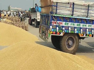कृषि उपज मंडी में जिंसों की बढऩे लगी आवक