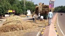 tractor overturned in jodhpur