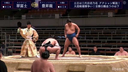 Midorifuji vs Hoshoryu - Haru 2020, Juryo - Day 10