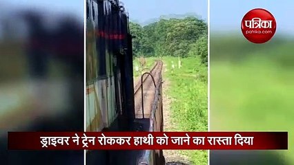 नाखून न कटवाने पड़े इसलिए बेहोशी का नाटक करने लगा ये डॉग, देखिए वीडियो