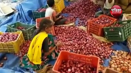 जल्द गिरेंगे प्याज के भाव