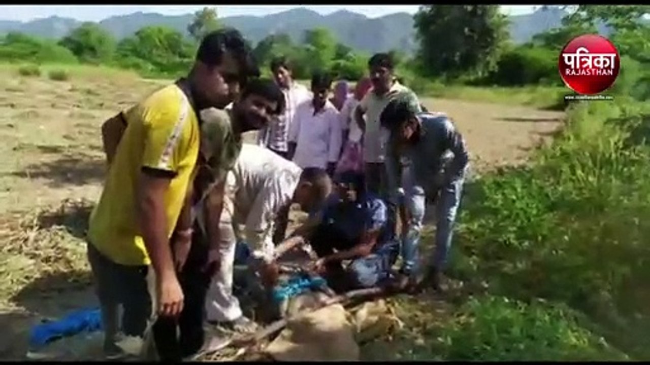 VIDEO : खेत में आया मगरमच्छ, ग्रामीणों में मचा...