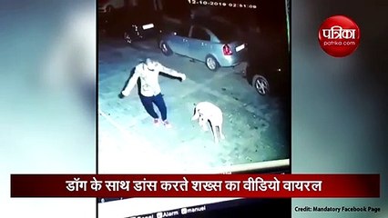 drunk man meets stray dog viral video