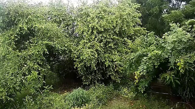 rain 2019 : आसोज के आंगन में बादलों ने फिर गाया मेघ मल्हार