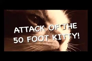 Attack of the 50 Foot Kitty!