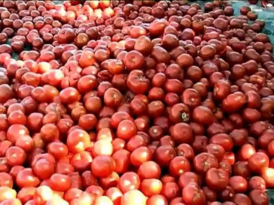 Tomatoes Eat You - Nenko Genov