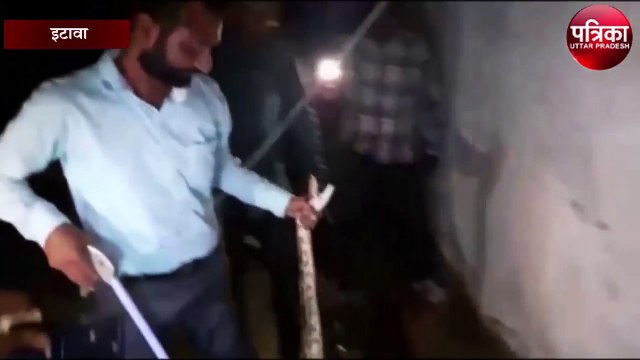 थम नहीं रहा इटावा में अजगरों के निकलने का सिलसिला