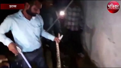 थम नहीं रहा इटावा में अजगरों के निकलने का सिलसिला