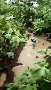 क्रैश हुआ ट्रेनी विमान, दो पायलट मरे