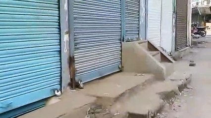 शुक्रवार से दिखने लगेगा बाजार में असर  कई व्यापारिक संगठनों ने किया समर्थन